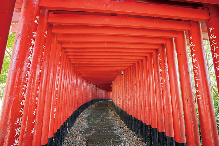 千本鳥居