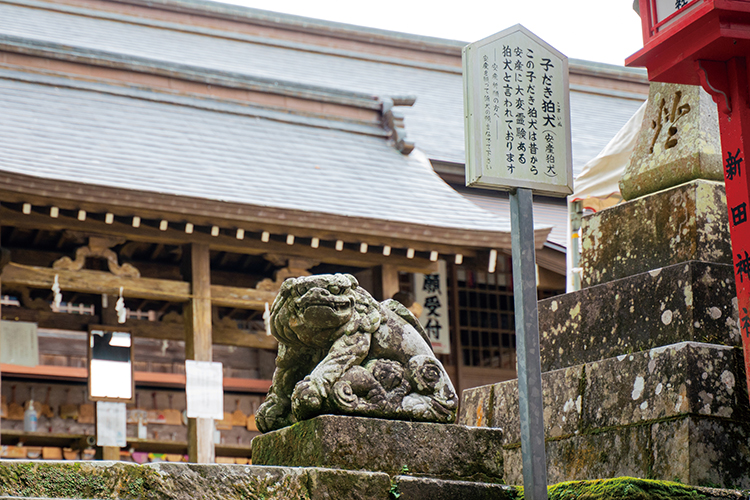 新田神社の狛犬