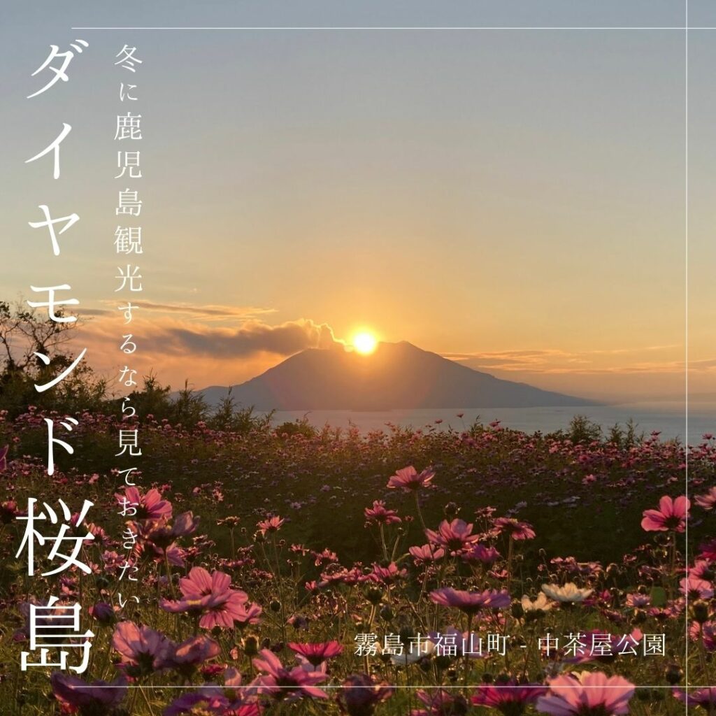 冬の鹿児島に来たら見ておきたい