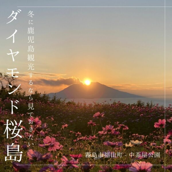 冬に鹿児島観光するなら見ておきたいダイヤモンド桜島とおすすめスポット
