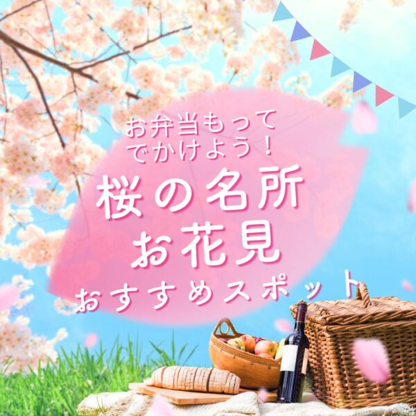 【春のおでかけ】鹿児島の桜の名所、お花見スポット５選